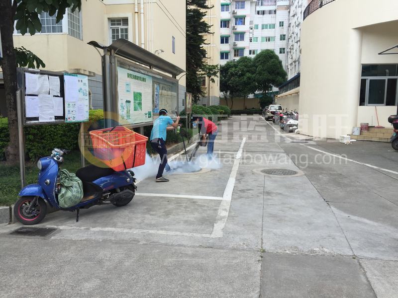 娛樂場(chǎng)所滅鼠