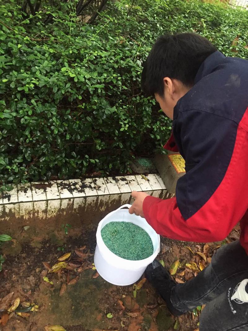 娛樂場(chǎng)所滅鼠